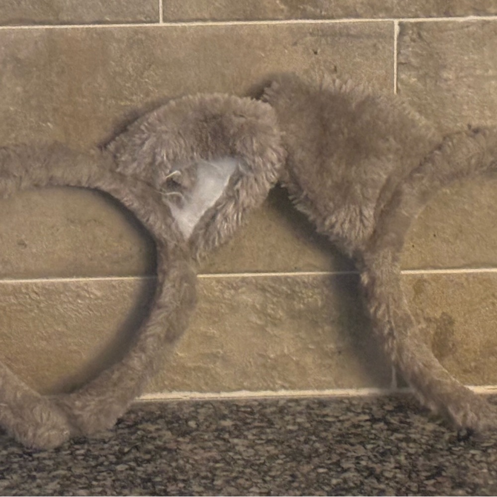 🆕 2 Great Wolf Lodge, gray wolf ears-Headband-